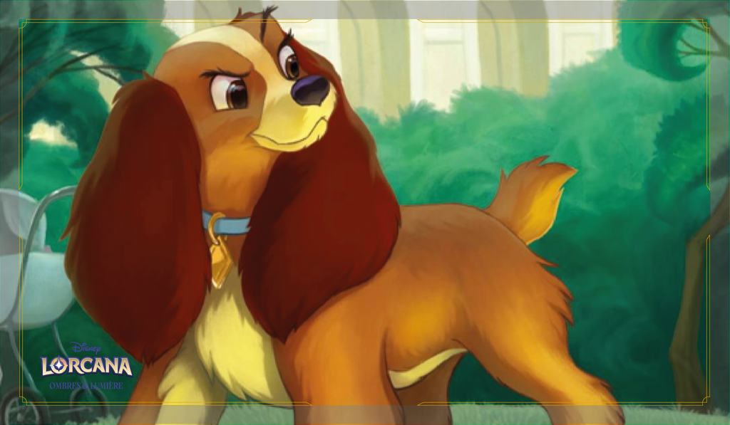 Lady - Chienne décidée